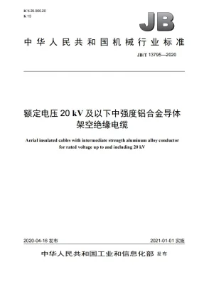 JB/T 13795-2020预览图