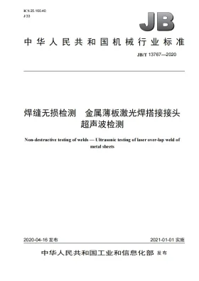 JB/T 13767-2020预览图