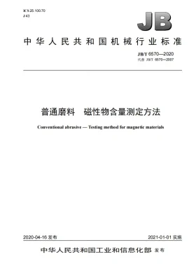 JB/T 6570-2020预览图
