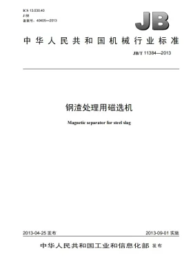 JB/T 11384-2013预览图