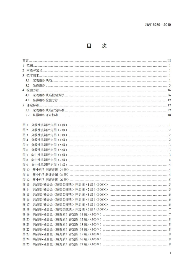 JB/T 6289-2019 内燃机  铸造铝活塞  金相检验第2页预览图