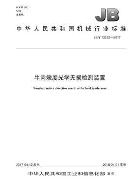 JB/T 13262-2017预览图