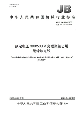 JB/T 10438-2022预览图