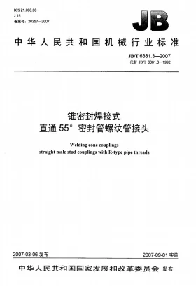 JB/T 6381.3-2007预览图
