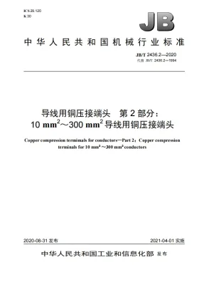 JB/T 2436.2-2020预览图