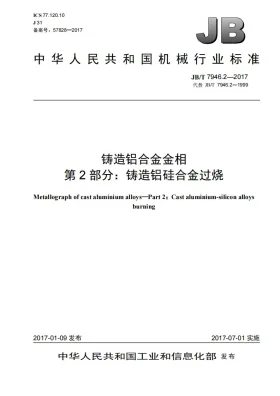 JB/T 7946.2-2017预览图