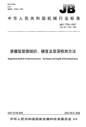 JB/T 7709-2007预览图