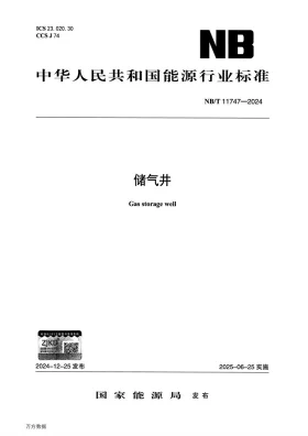 NB/T 11747-2024预览图