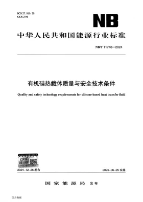 NB/T 11746-2024预览图