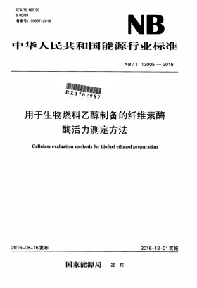 NB/T 13005-2016预览图