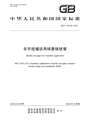 GB/T 46199-2025预览图