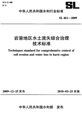 SL 461-2009预览图