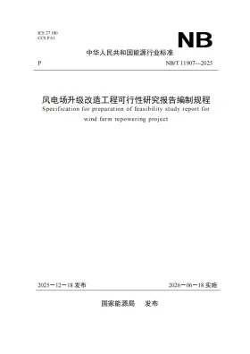 NB/T 11907-2025预览图