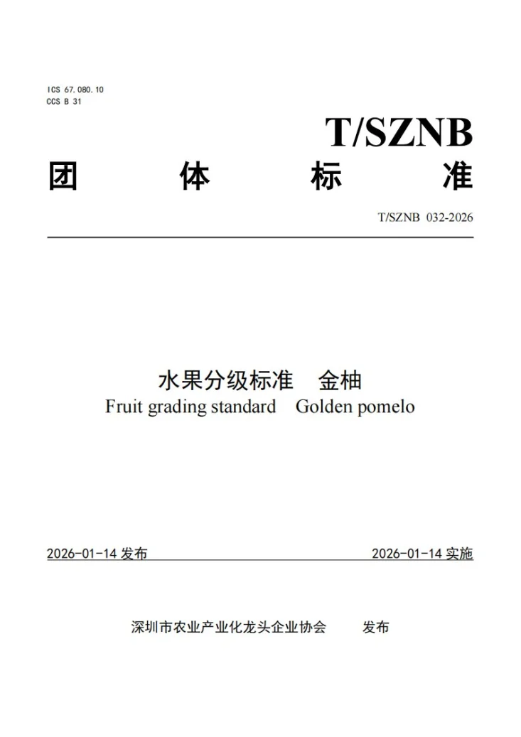 T/SZNB 032-2026 水果分级标准 金柚第1页预览图