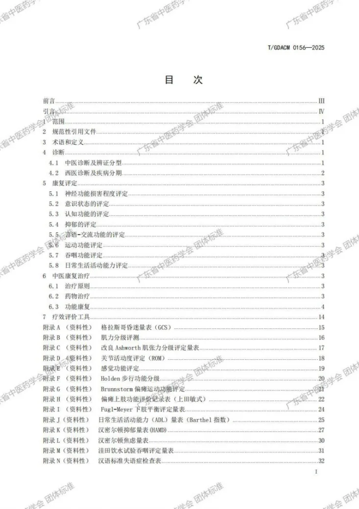 T/GDACM 0156-2025 中医康复指南 中风（脑卒中）第3页预览图