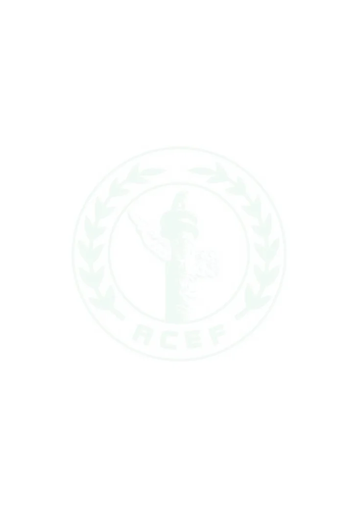 T/ACEF 238-2025 便携式挥发性有机物检测仪（FID）监测规范第2页预览图