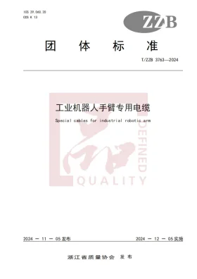 T/ZZB 3763-2024预览图