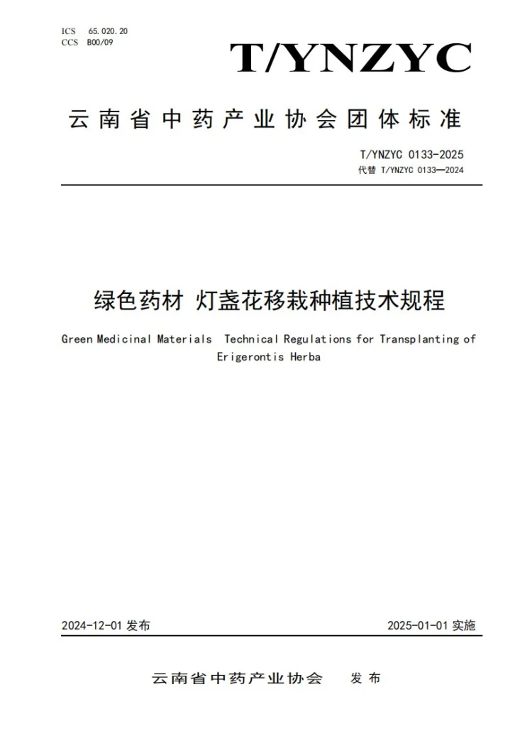 T/YNZYC 0133-2025 绿色药材 灯盏花移栽种植技术规程第1页预览图