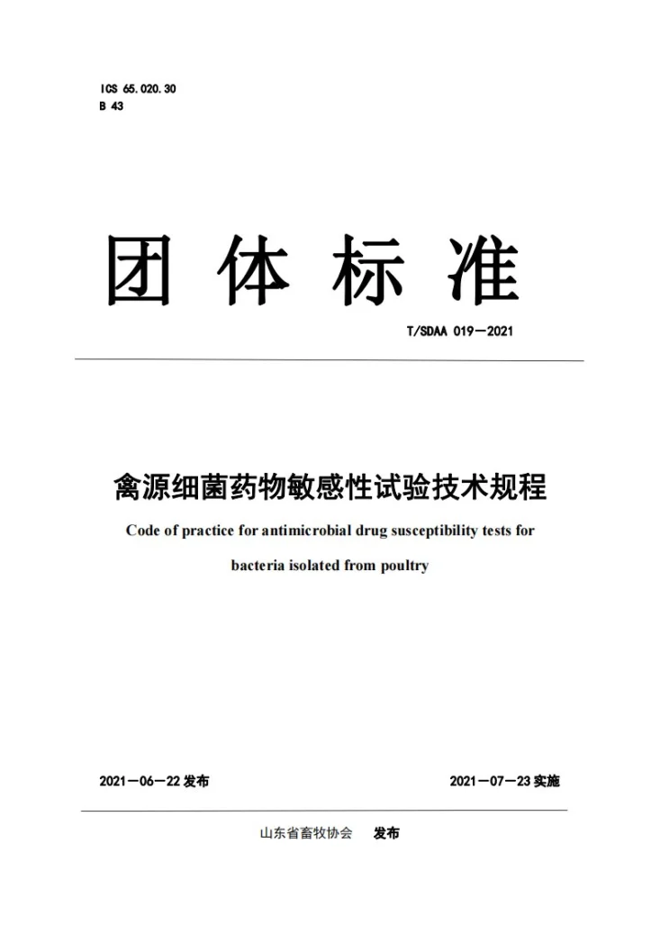 T/SDAA 019-2021 禽源细菌药物敏感性试验技术规程第1页预览图