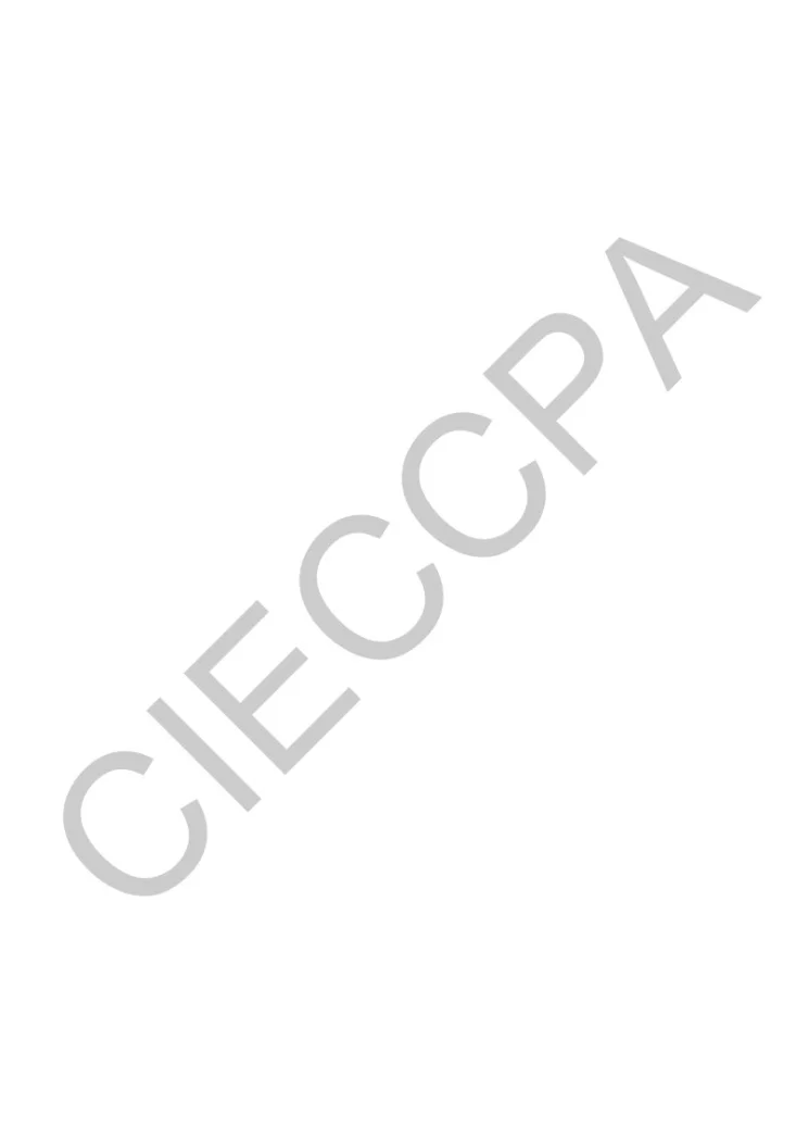 T/CIECCPA 005-2024 钢铁冶炼锌元素循环控制技术要求第2页预览图