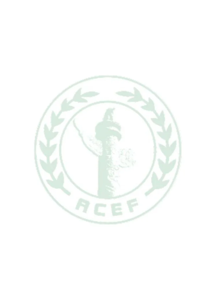 T/ACEF 148-2024 危险废物物联网智能监控设备技术要求第2页预览图