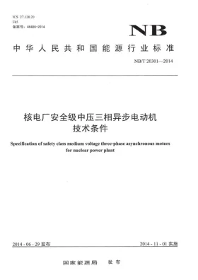 NB/T 20301-2014预览图