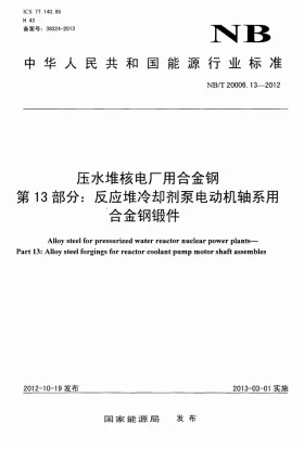 NB/T 20006.13-2012预览图