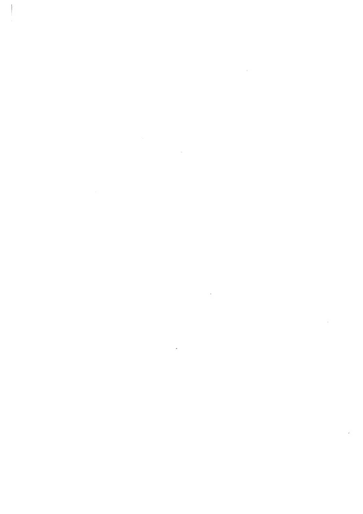 NB/T 20068-2012 核电厂安全重要仪表和控制系统应对共因故障的要求第2页预览图