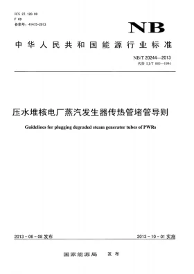 NB/T 20244-2013预览图