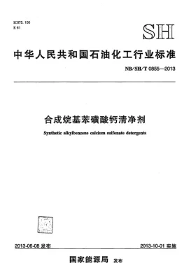 NB/SH/T 0855-2013预览图
