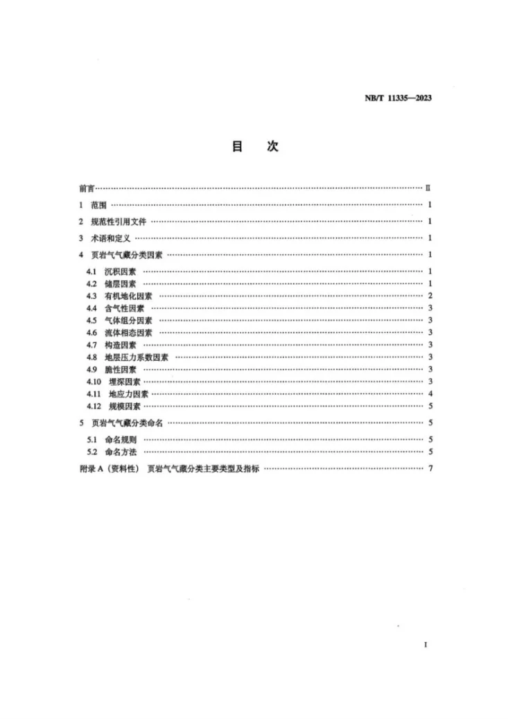 NB/T 11335-2023 页岩气 气藏分类第2页预览图