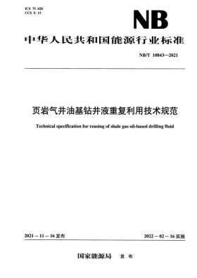 NB/T 10843-2021预览图