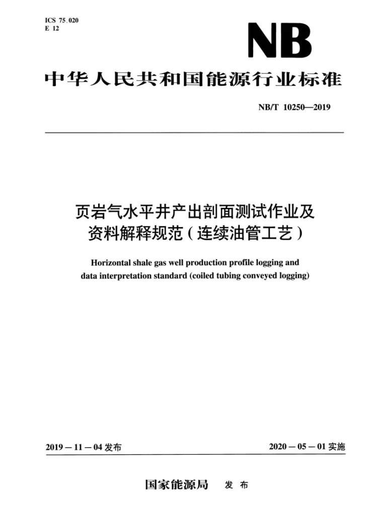 NB/T 10250-2019 页岩气水平井产出剖面测试作业及资料解释规范(连续油管工艺)第1页预览图