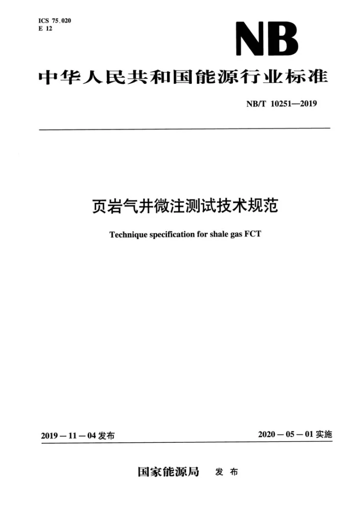 NB/T 10251-2019 页岩气井微注测试技术规范第1页预览图