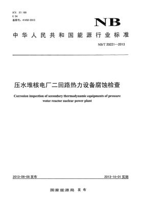 NB/T 20221-2013预览图