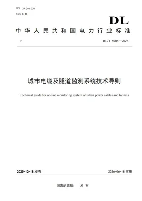DL/T 5905-2025预览图