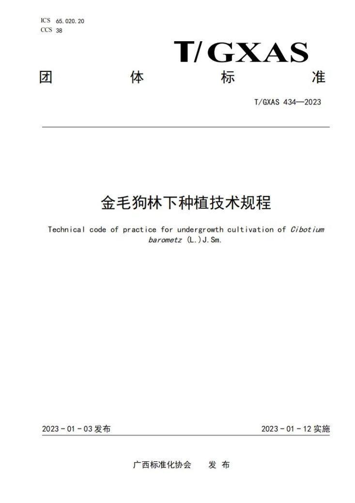 T/GXAS 434-2023 金毛狗林下种植技术规程第1页预览图