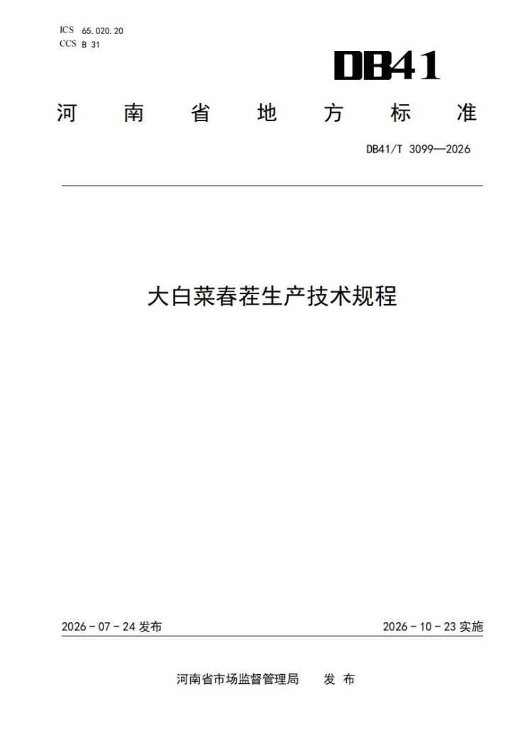 DB41/T 3099-2026 大白菜春茬生产技术规程第1页预览图