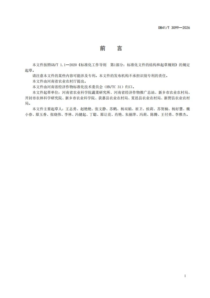 DB41/T 3099-2026 大白菜春茬生产技术规程第3页预览图