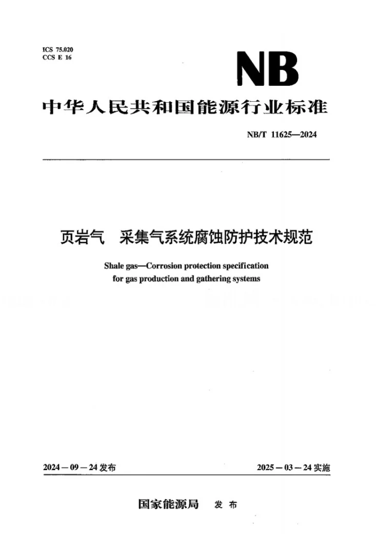 NB/T 11625-2024 页岩气 采集气系统腐蚀防护技术规范第1页预览图