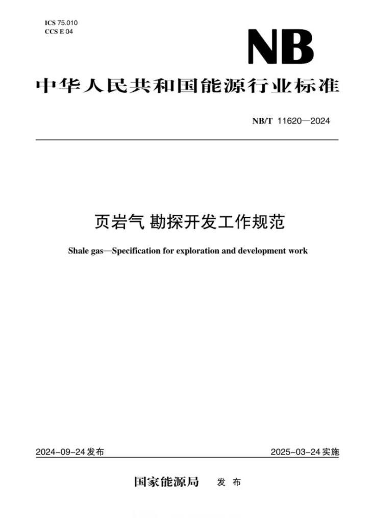 NB/T 11620-2024 页岩气 勘探开发工作规范第1页预览图